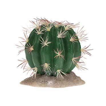 Terra Della Echinocactus M - 11x10,5x11cm vert
