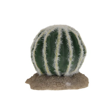 Terra Della Echinocactus S - 9x7,5x7cm vert