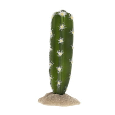 Terra Della Cactus cylindrique 2 7,5x6,5x14,5cm vert