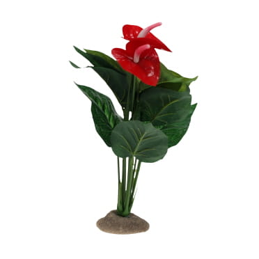 Terra Della Anthurium 12x10x30cm vert
