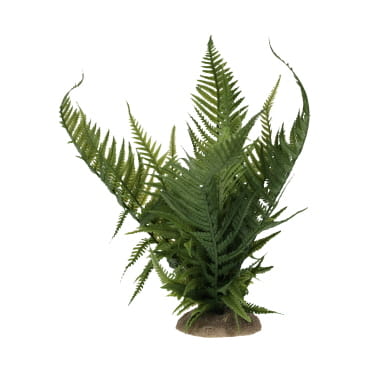 [LARO_243/482773] Terra Della Fougère M - 10x9x22,5cm vert
