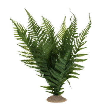 Terra Della Fougère L - 31x16x34cm vert