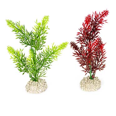 Aqua Della Plante elodea densa S - height 13CM couleurs mélangées