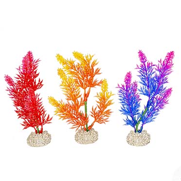 [LARO_242/457870] Aqua Della Plante elodea densa S - height 13CM couleurs mélangées