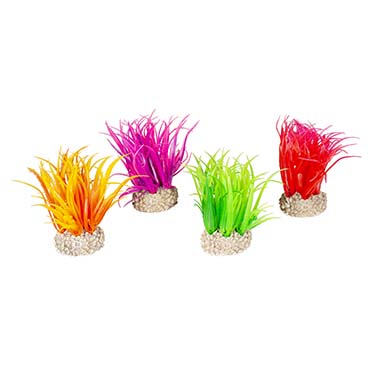 [LARO_242/458037] Aqua Della Plante hair grass S - height 6CM couleurs mélangées