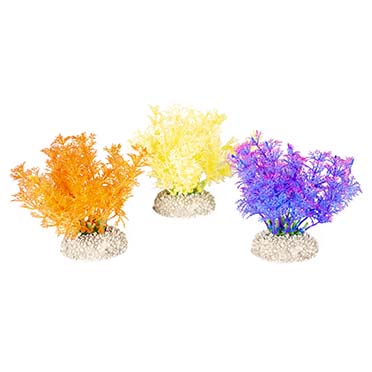 [LARO_242/458129] Aqua Della Plante hottonia S - height 10CM couleurs mélangées