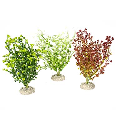 [LARO_242/458167] Aqua Della Plante bacopa M - height 25CM couleurs mélangées