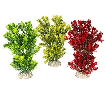 [LARO_242/458204] Aqua Della Plante canadensis M - height 23CM couleurs mélangées