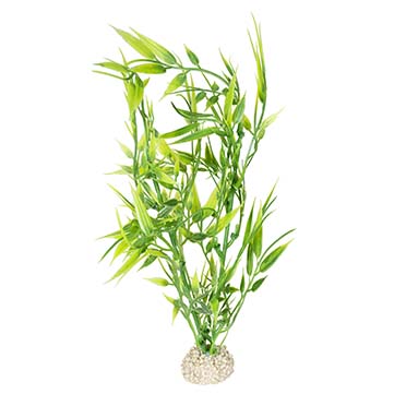 Aqua Della Plante bamboo M - height 27CM vert