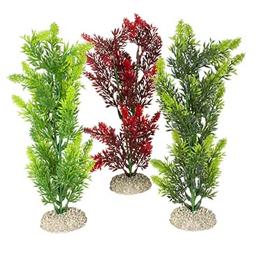 Aqua Della Plante elodea densa M - height 25CM couleurs mélangées