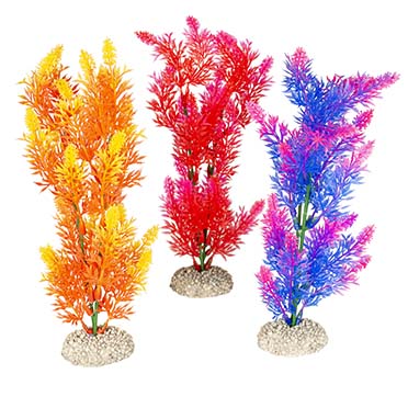 Aqua Della Plante elodea densa M - height 25CM couleurs mélangées