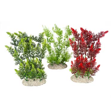 [LARO_242/458488] Aqua Della Plante elodea densa L - height 25CM couleurs mélangées