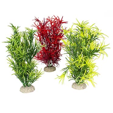 Aqua Della Plante hydrilla L - height 27CM couleurs mélangées