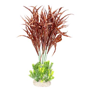 Aqua Della Plante java fern XL - height 45CM couleurs mélangées