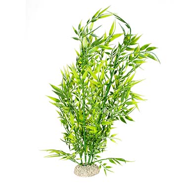 Aqua Della Plante bamboo XL - height 37CM vert