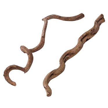 [LARO_252/463697] Terra Della Lianes SM - 75CM