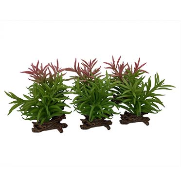 [LARO_242/465868] Terra Della Crassula 13x10,5x16CM couleurs mélangées