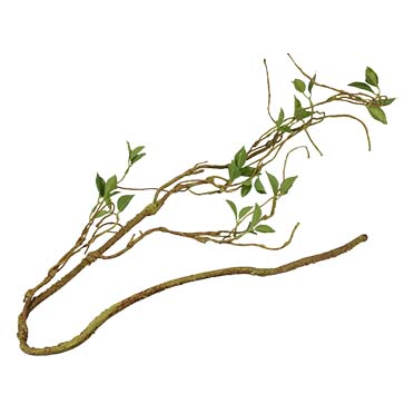 Terra Della branche de plante mince 130cm vert