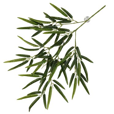 Terra Della Plante suspendue Bambou 65x35x4cm vert