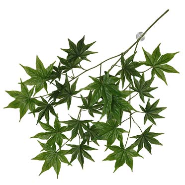 Terra Della Plante suspendue Cannabis 65x40x5cm vert