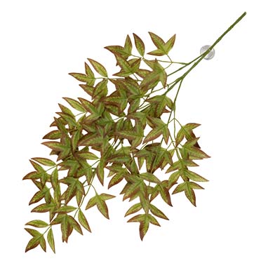 Terra Della Plante suspendue Nandina 65x35x1,5cm vert