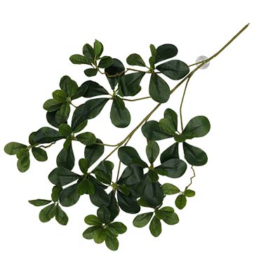 [LARO_243/470466] Terra Della Plante suspendue Aralia 60x30x6cm vert
