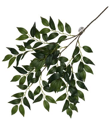 Terra Della Plante suspendue Banyan 62x32x3cm vert