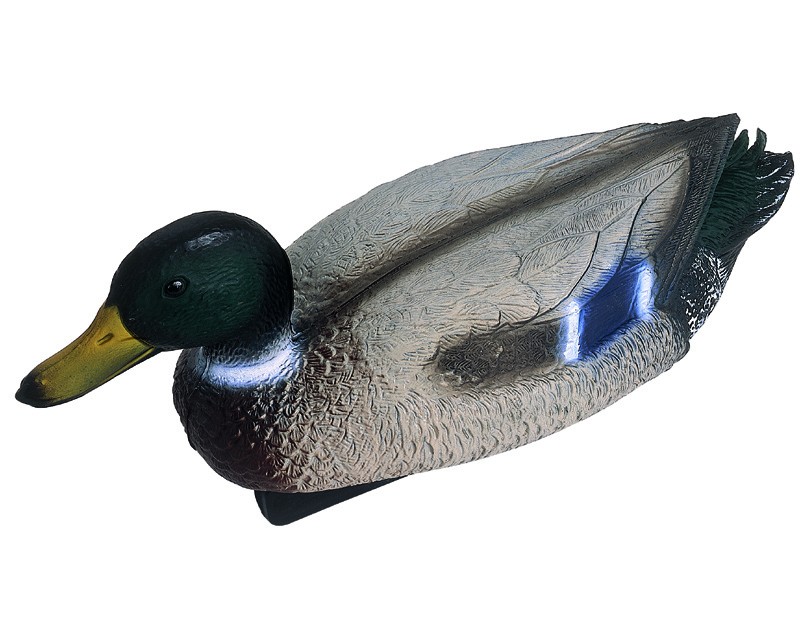 [OASE_36864] Figurine bassin Canard colvert mâle