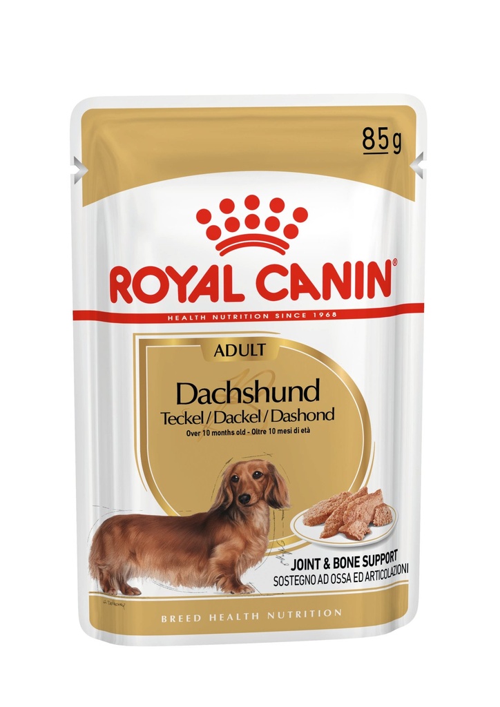 Royal Canin - BHN Dachshund Adult Wet 85g x 12
