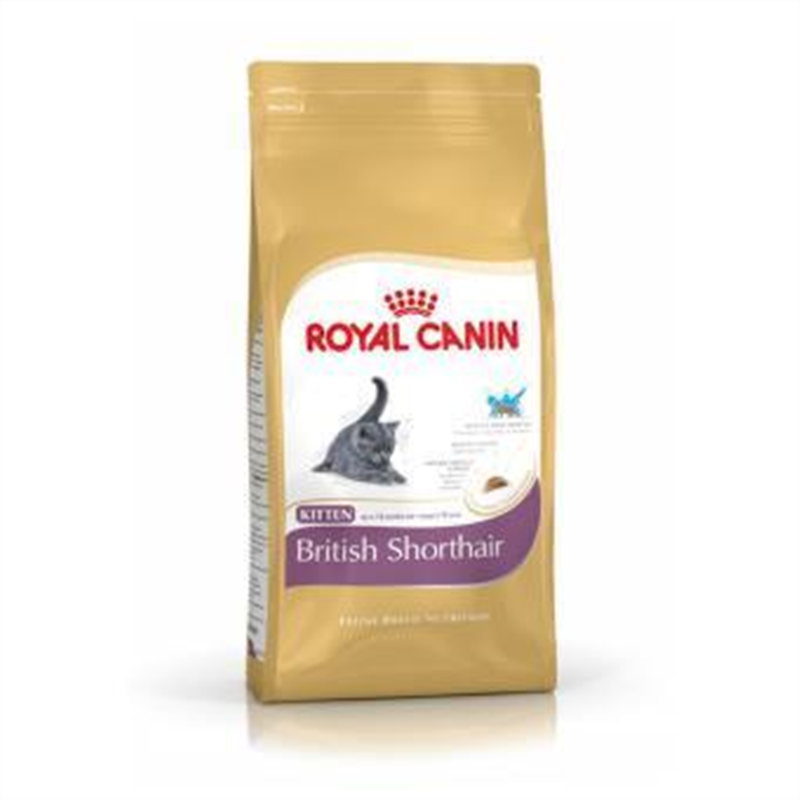 Royal Canin - FBN Brit Shorthair Kitten 2kg