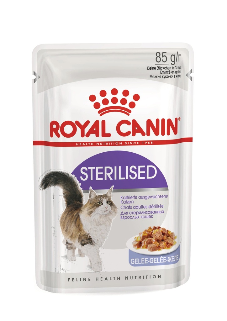 Royal Canin - FHN Sterilised Jelly 85g x 12