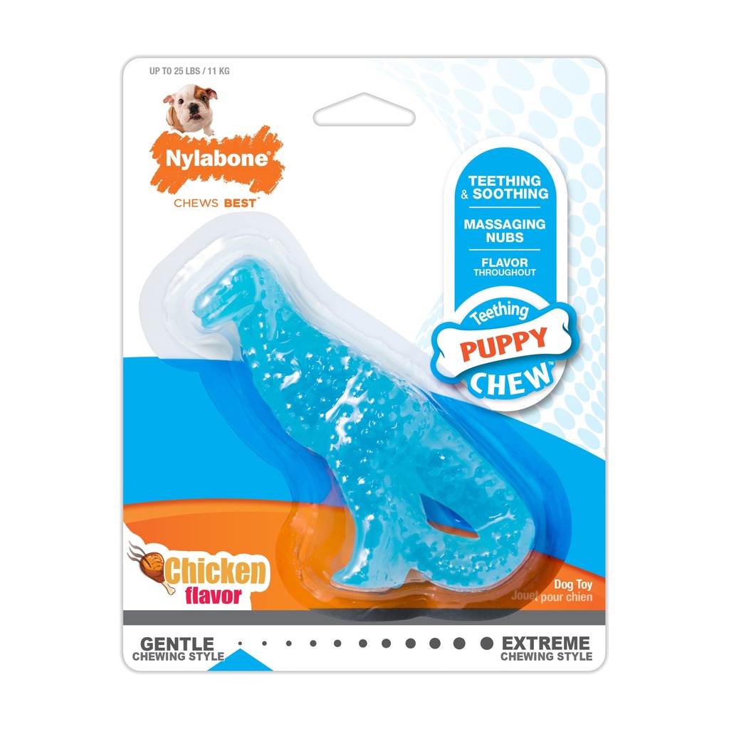 POULET DINOSAURE DENTAIRE CHIOT S NDD001