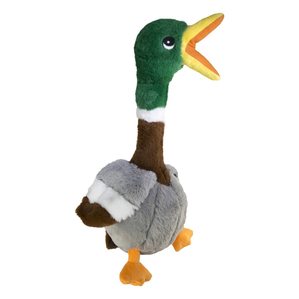 SHAKERS HONKERS CANK LITTLE