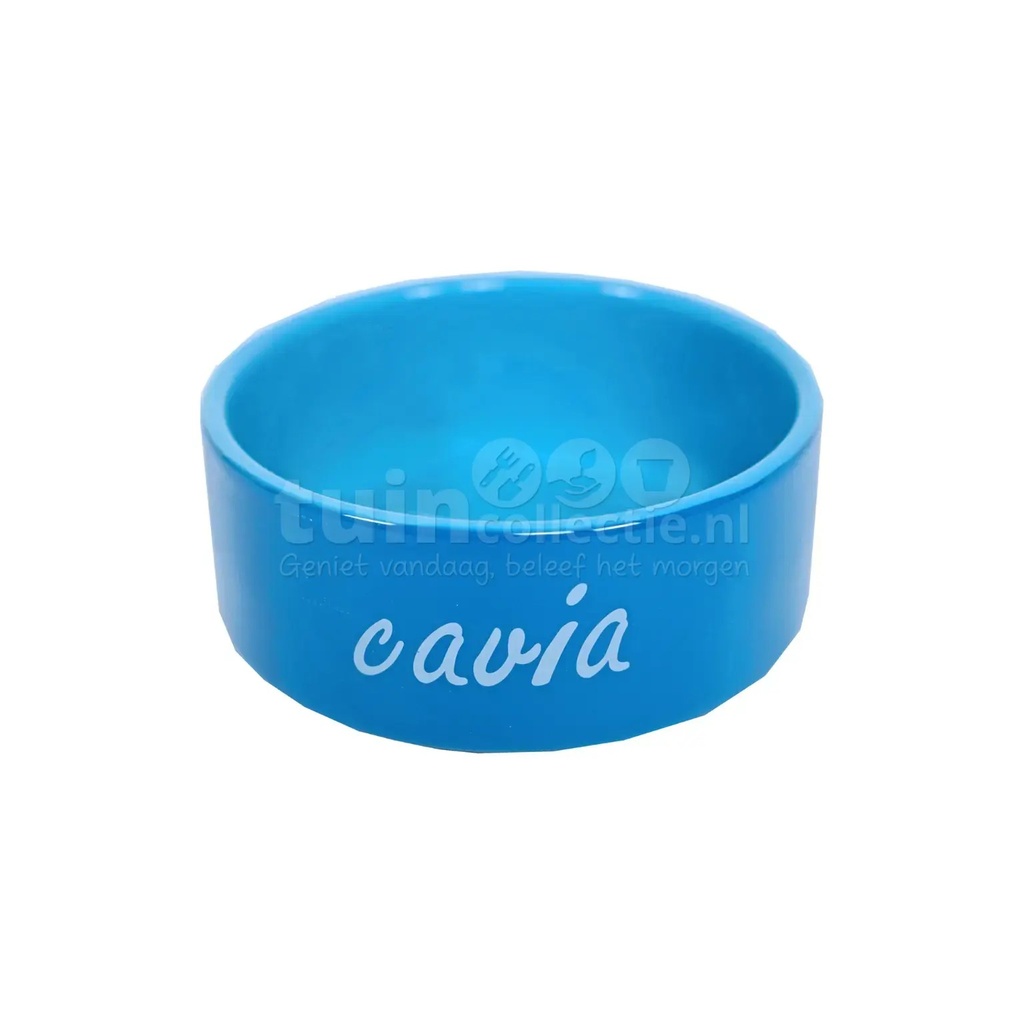 [DEBO_020 3867] BOL EN PIERRE COCHON D’INDE BLEU 12 CM