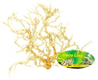 64032 DESERT BUSH BLEACHED 15-20CM