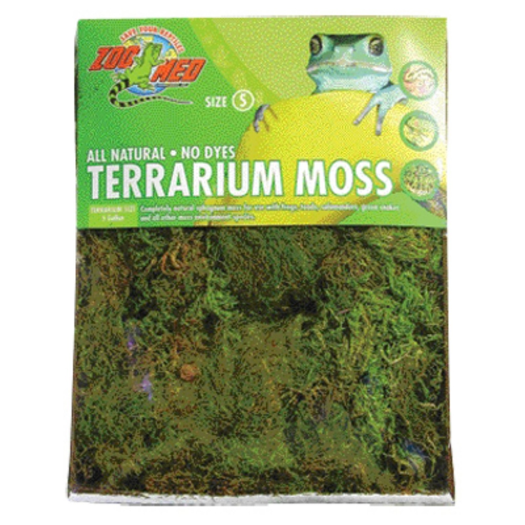 [GRIZ_742216000] CF2LE TERRARIUM MOSS LARGE