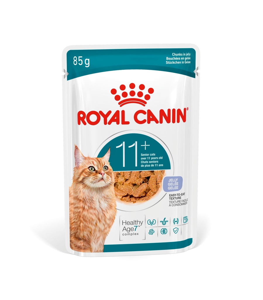 Royal Canin - FHN Ageing 11+ in Jelly 85g x 12