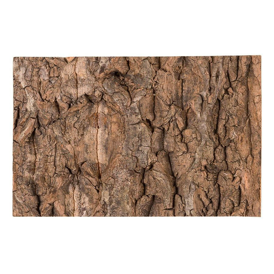[HADE_RZNCT03] NATURAL CORK TILE BACKGROUND 45x45cm REPTIZOO