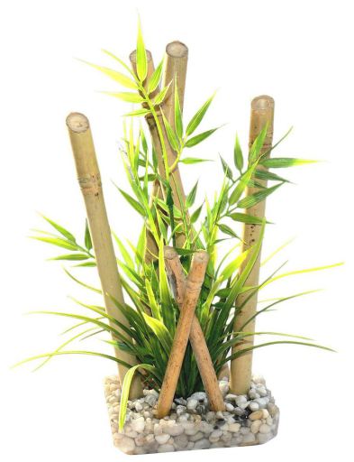 [HADE_S093029] BAMBOO LARGE PLANTS H:25cm