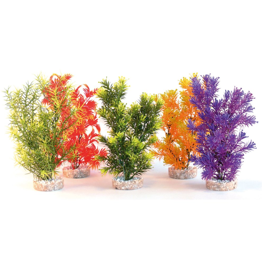 JUNGLE MEDIUM H:28cm