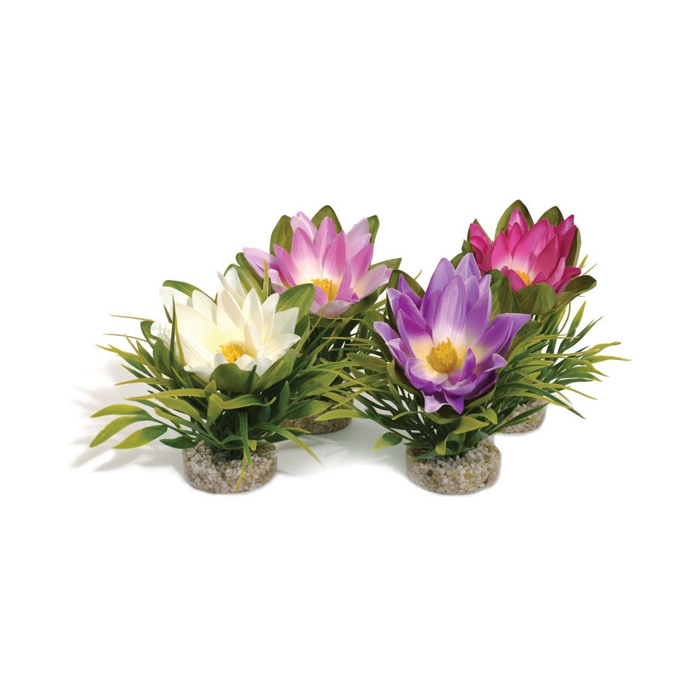 LOTUS FLOWER H:18cm