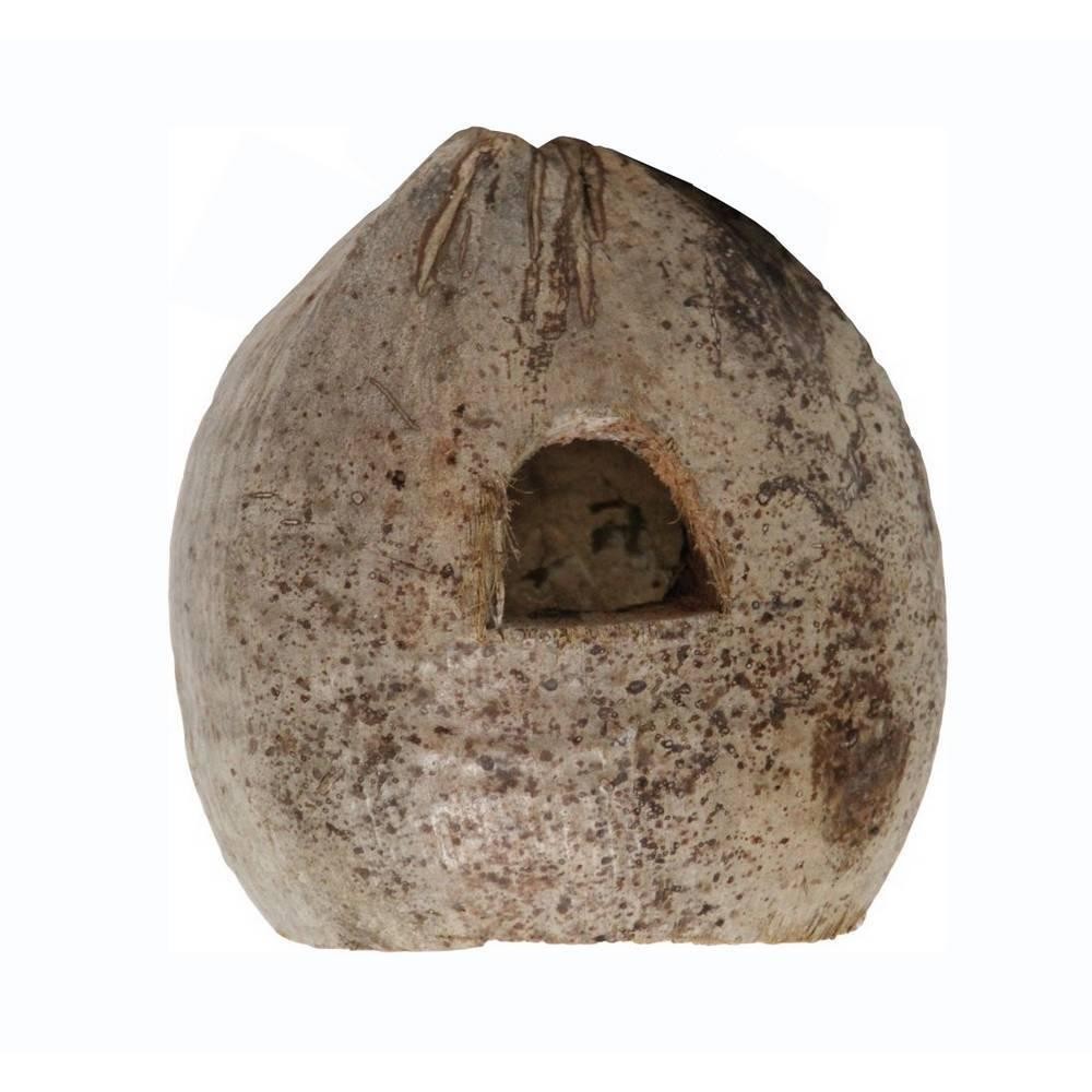 Coco Home