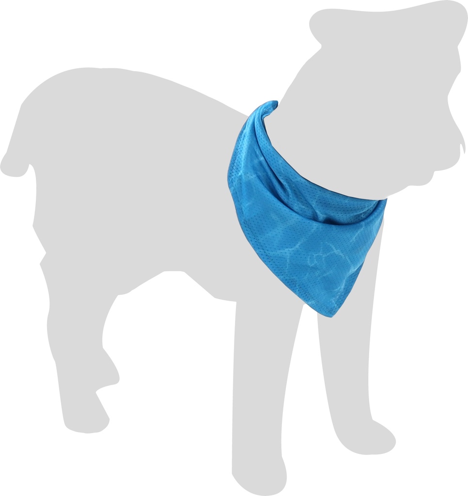 BANDANA RAFRAÎCHISSANT FRESK INOU S BLEU 52x22CM