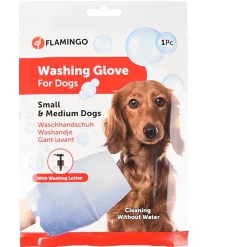 GANT LAVANT CHIEN - L