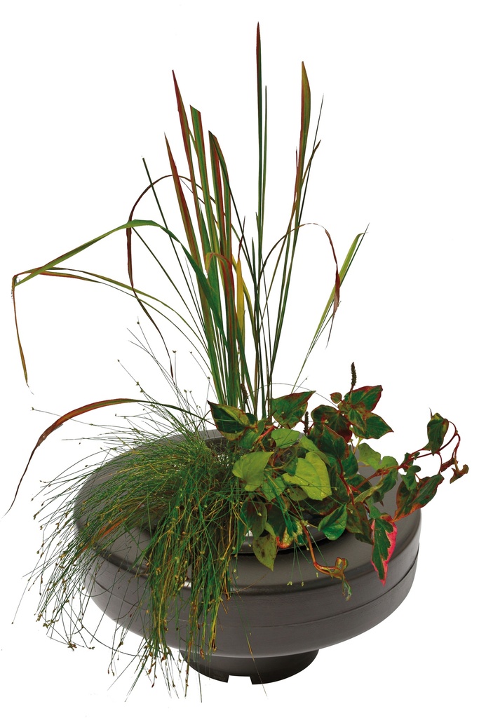 PANIER PLANTE FLOTTANT Ø 22CM
