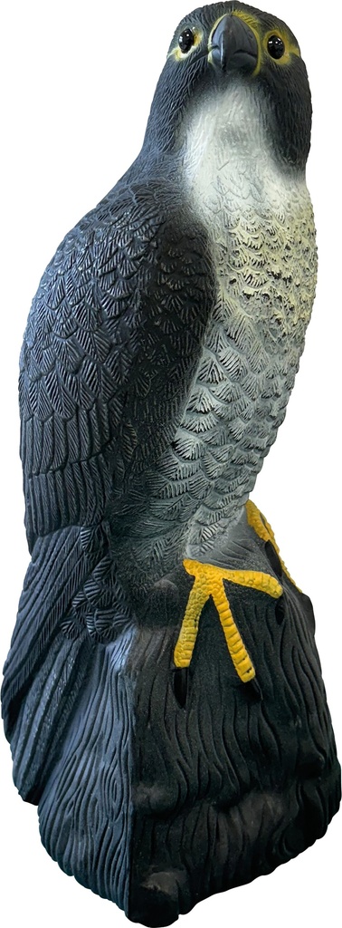 SF DECO BIRD FAUCON