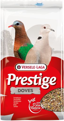 Pigeons - Tourterelles - 4kg