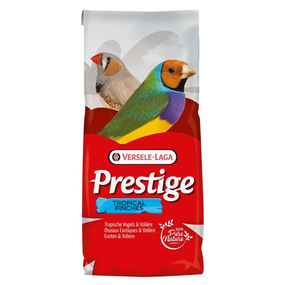 [VERS_421521] Oiseaux Exotiques - 4kg