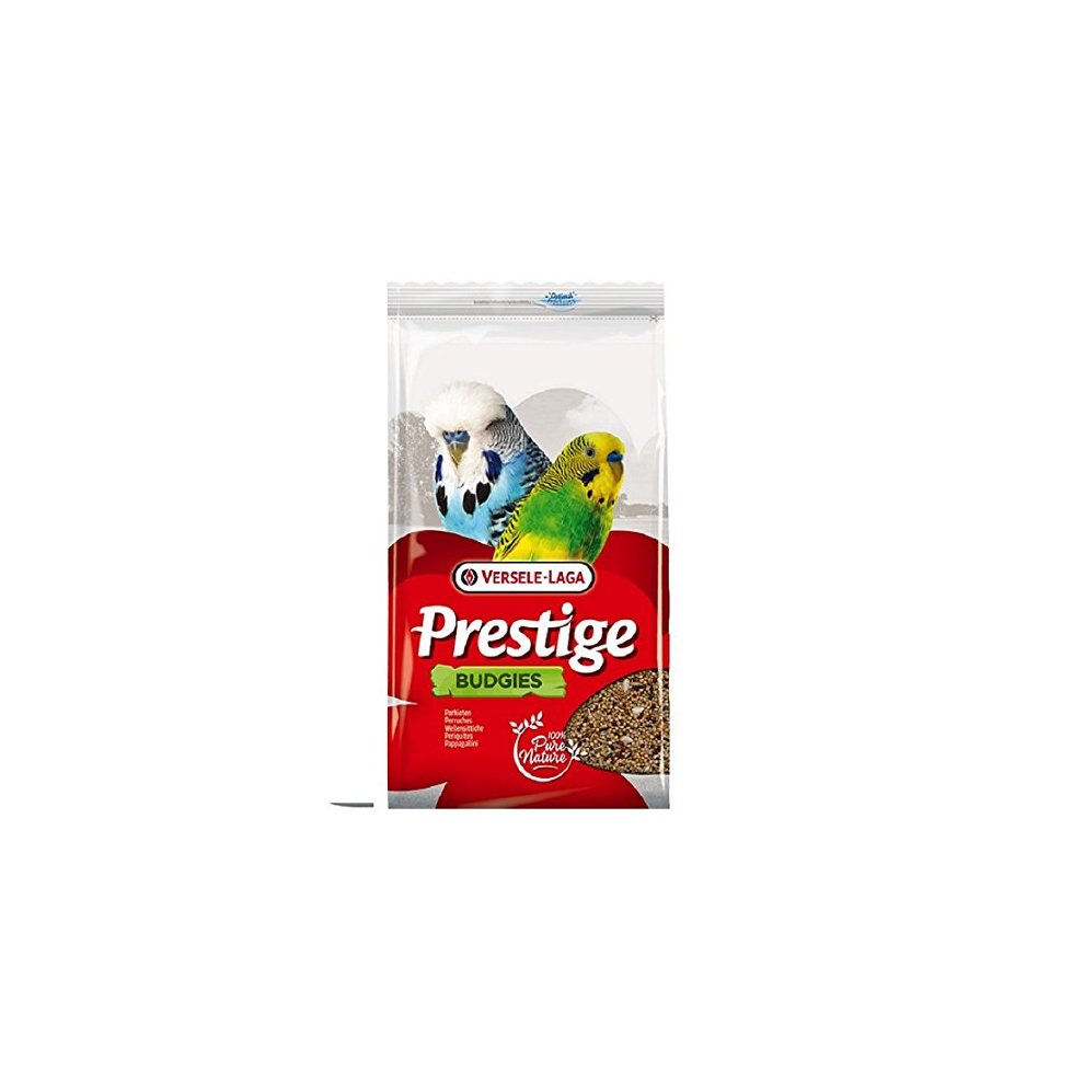 [VERS_421621] Perruches - 4kg