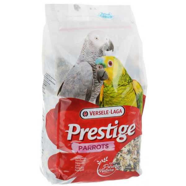 [VERS_421795] Perroquets - 1kg